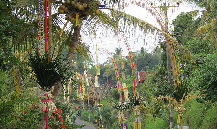 Galungan-and-Kuningan-Balinese-holiday.jpg.d1fd3cae5c0537b81e880298ba615def.jpg