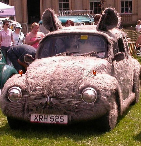 vw-beetle-rabbit.jpg