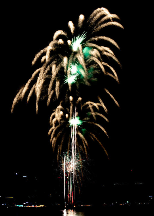 Fireworks2-0204-1.jpg