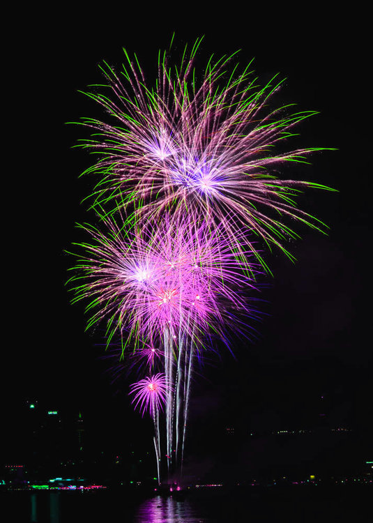 Fireworks2-0221-1q.jpg