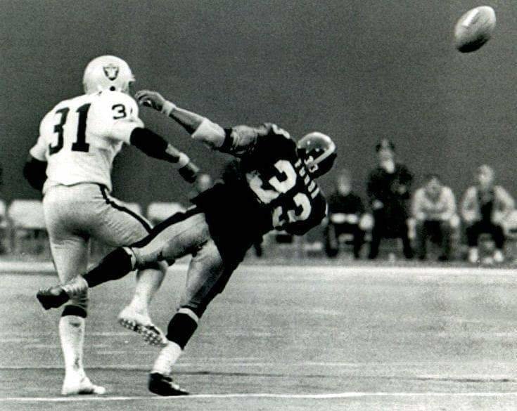 frenchy-fuqua-getting-hit-back-view-immaculate-reception-unsigned-8x10-photo-13831121633346_735x585.jpg