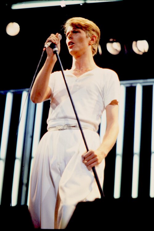 Bowie 1977.jpg