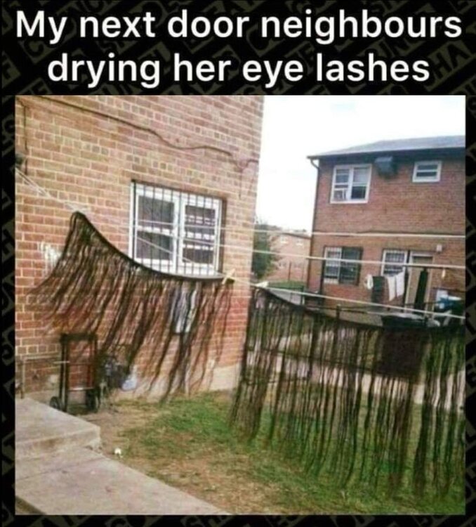 Eye lashes.jpg