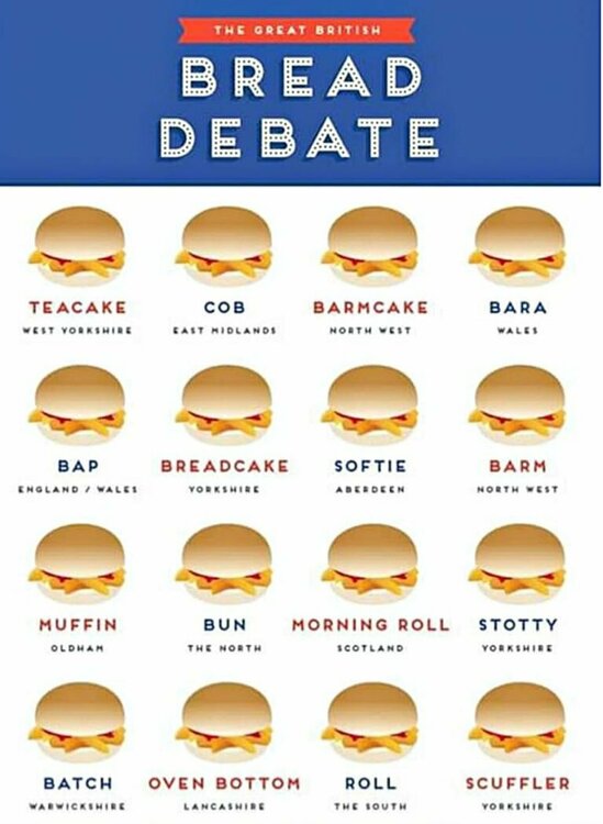 bread-roll-debate-768x1049.jpg