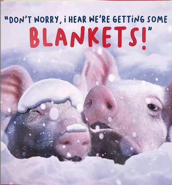 pigs in blankets.jpg