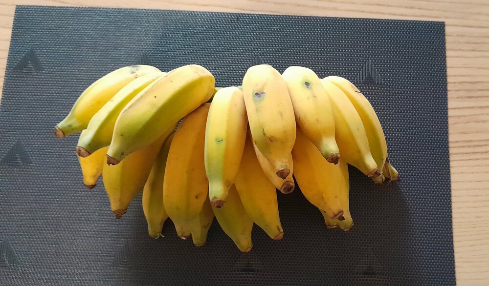 banana 2.jpg